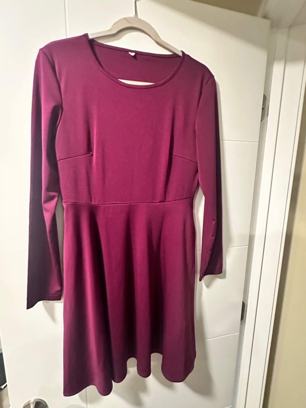 Women's Long Sleeve Skater Dress in Plum